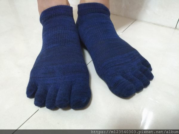 襪子材質
